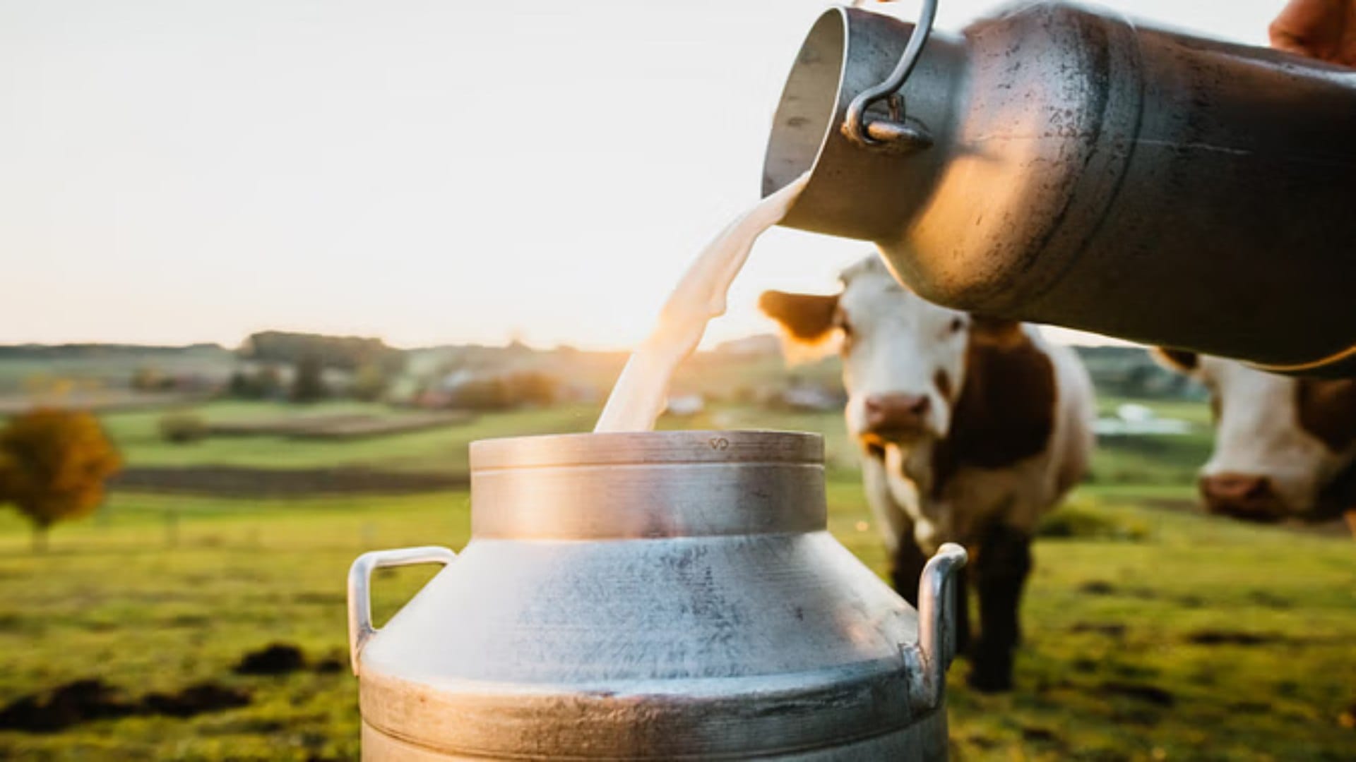 Bird Flu Virus Avian H5N1 in Raw Milk and e coli bacteria in food items