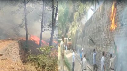 forest Fire broke out near Jabli on the World Heritage Kalka-Shimla railway line,