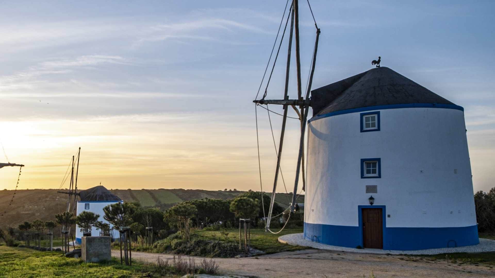 Man lives in a grain silo for just 105 rupees turned it into a tiny house bizarre news