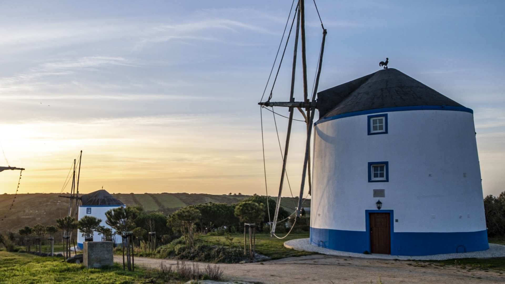 Man lives in a grain silo for just 105 rupees turned it into a tiny house bizarre news