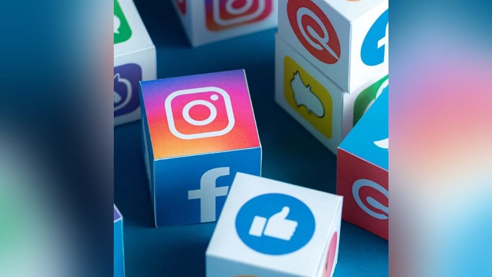 Political Campaign on Social Media for Loksabha Election
