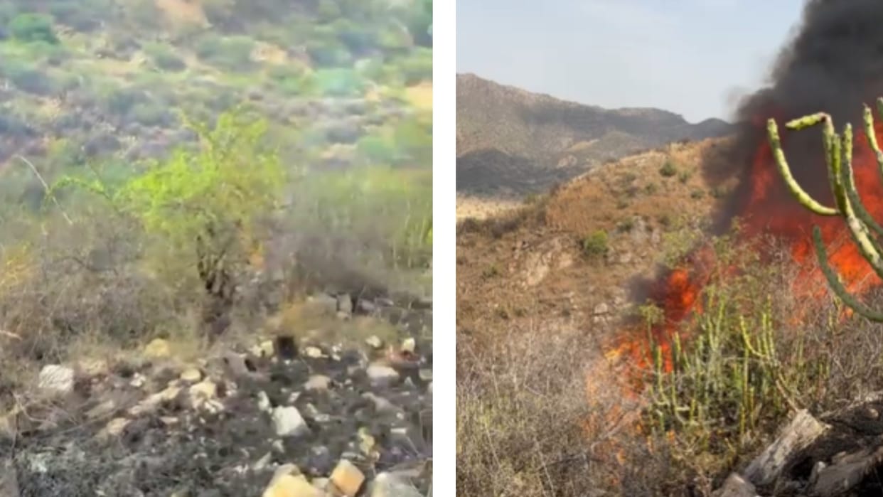 Fire breaks out in Badar Mata hill in Pushkar