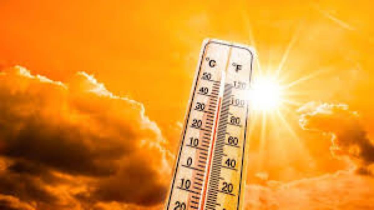 Rajasthan Weather Update: IMD issued purple alert, mercury crossed 46 degrees in Hanumangarh and Churu also