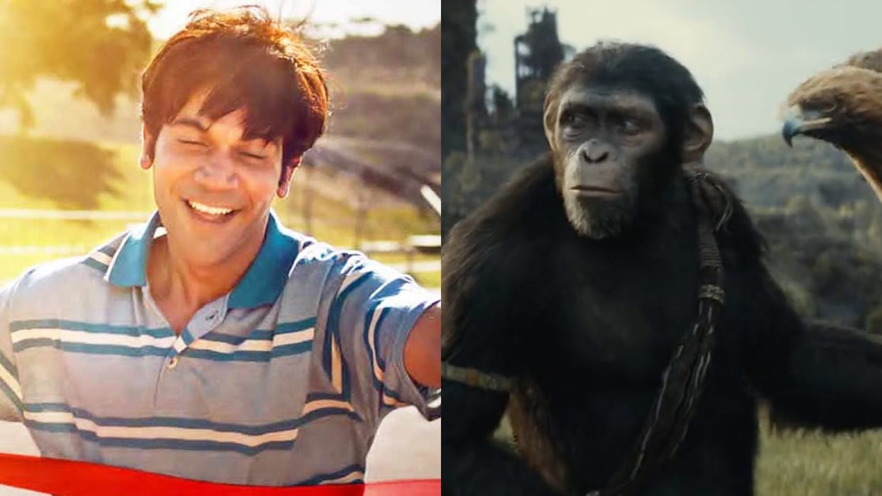 Box Office Collection Rajkummar Rao Srikanth And Kingdom Of The Planet Of The Apes Know Their Latest Earnings