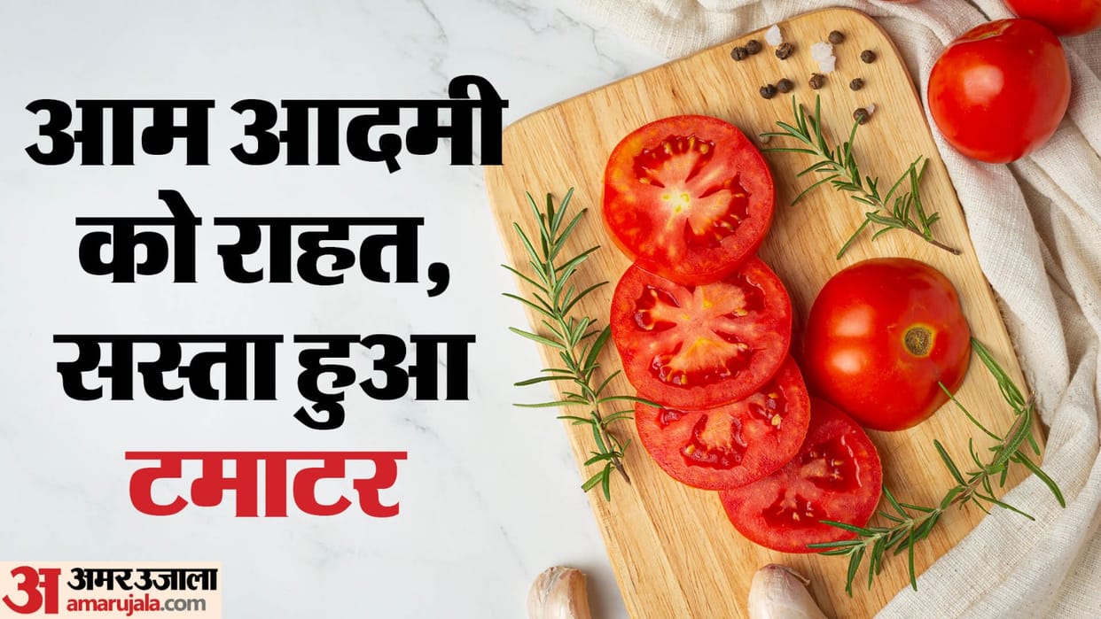 Tomato prices rapid decline in the rates of tomatoes detail news in hindi