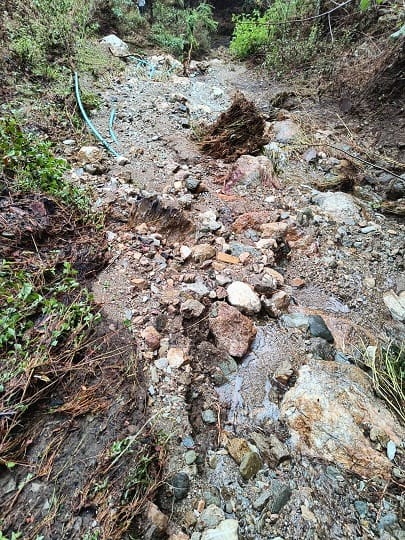 Almora: Taps are installed in the house, still contaminated water is being carried from the ditch, 200 familie