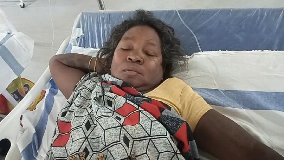 Bears attacked two women who had gone to pluck tendu leaves in Korba