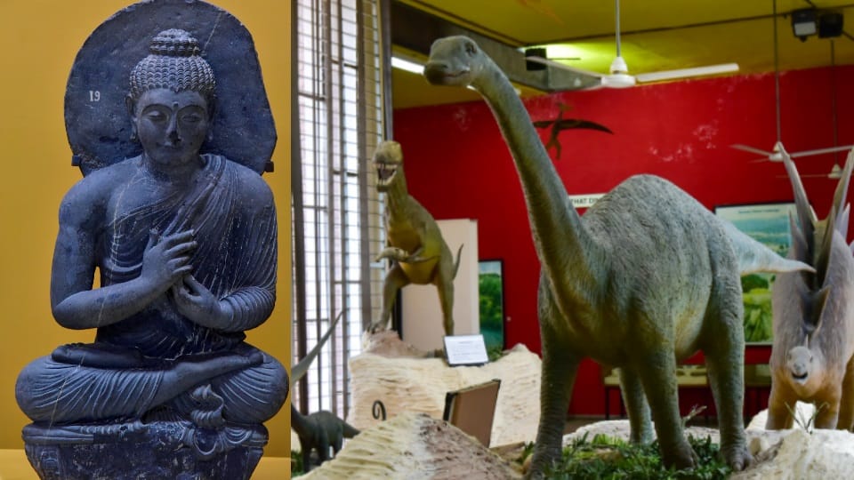 Special Report on Chandigarh Museums on International Museum Day