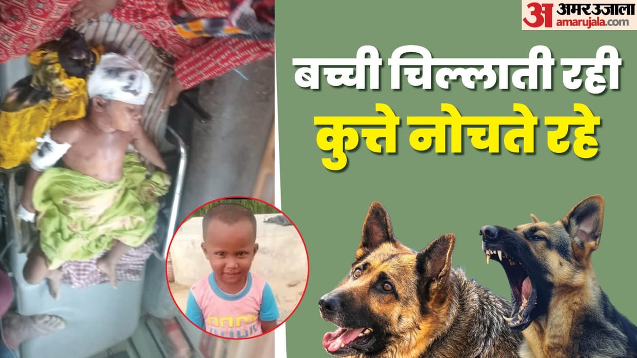 8 to 10 dogs attacked a 4 year old girl and killed her In Muradnagar