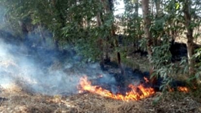 Case of burning wheat residue in Punjab increasing