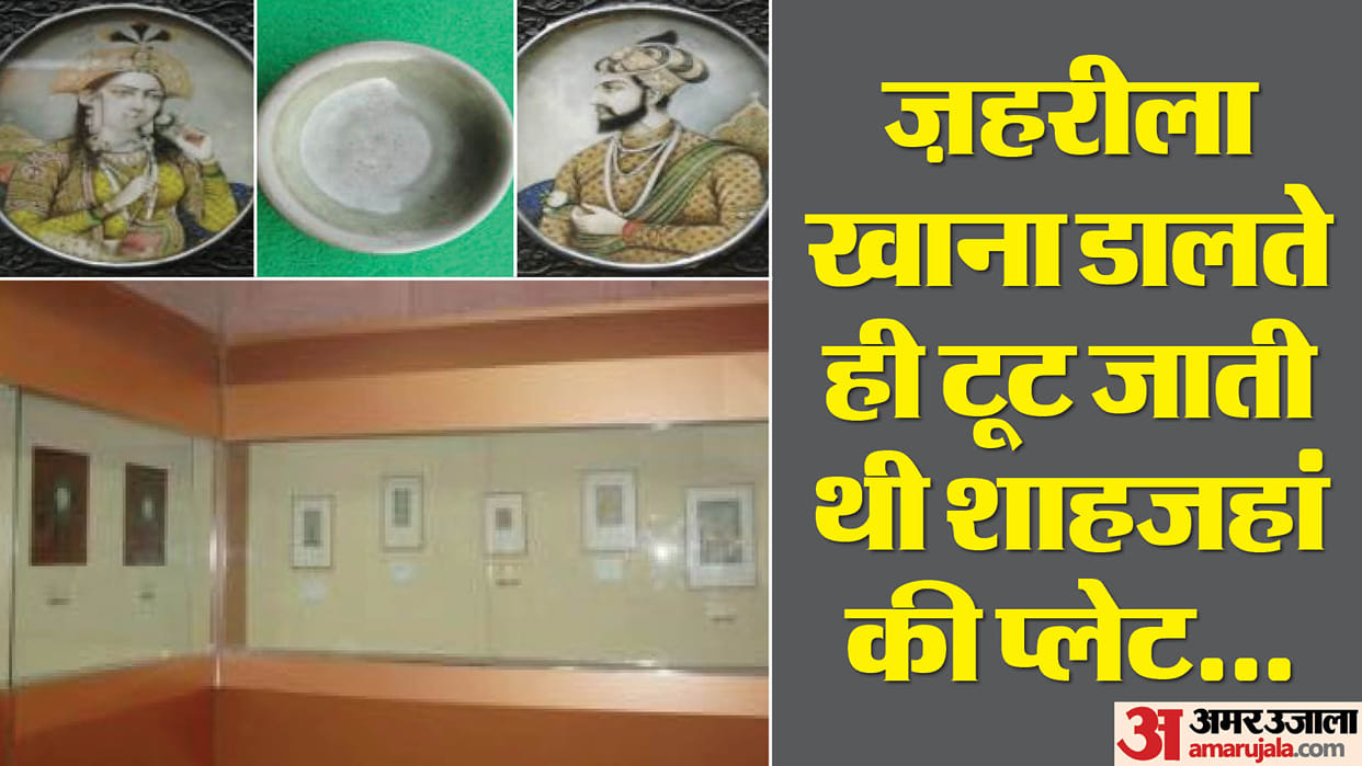 World Museum Day 2024 mughal emperor shahjahan poisonous food identification plate Color Change