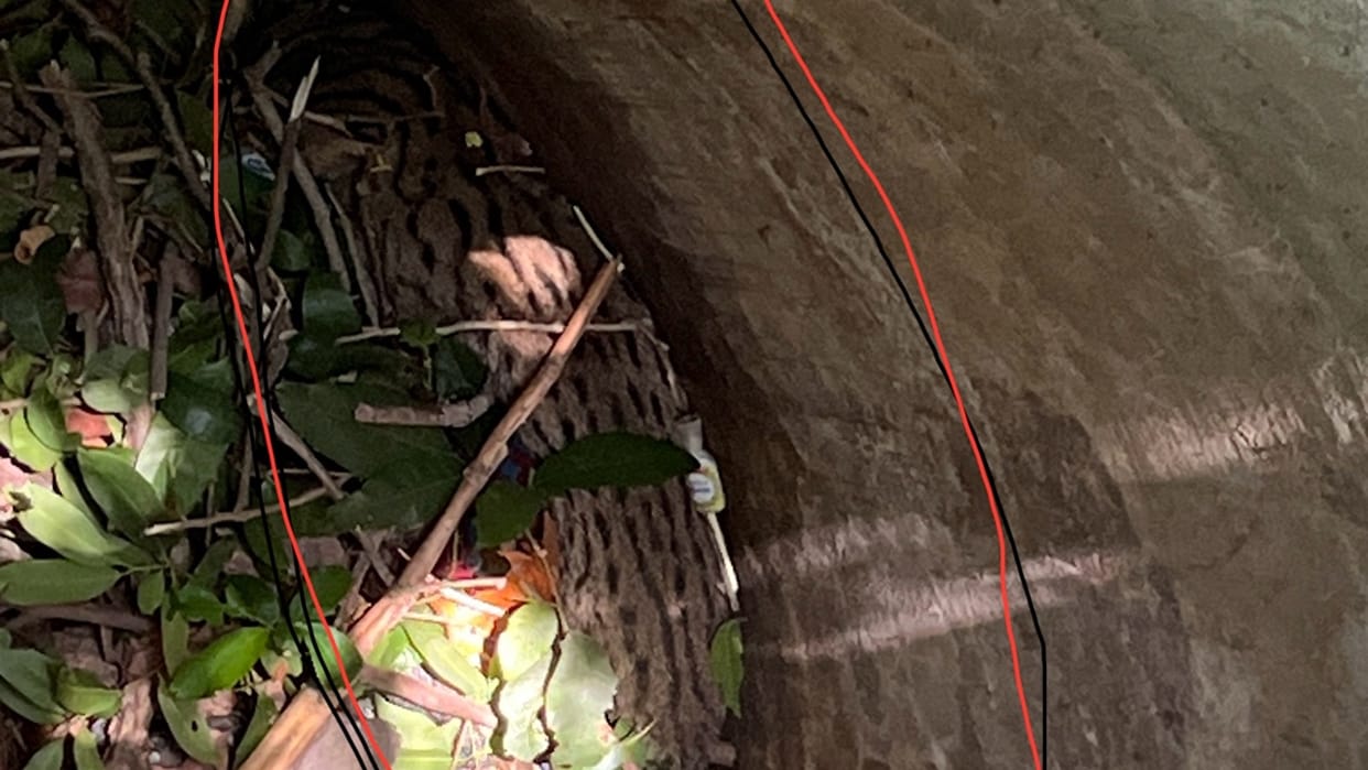 noise of leopard cub falling into the well turned out to be a cat in Pilibhit