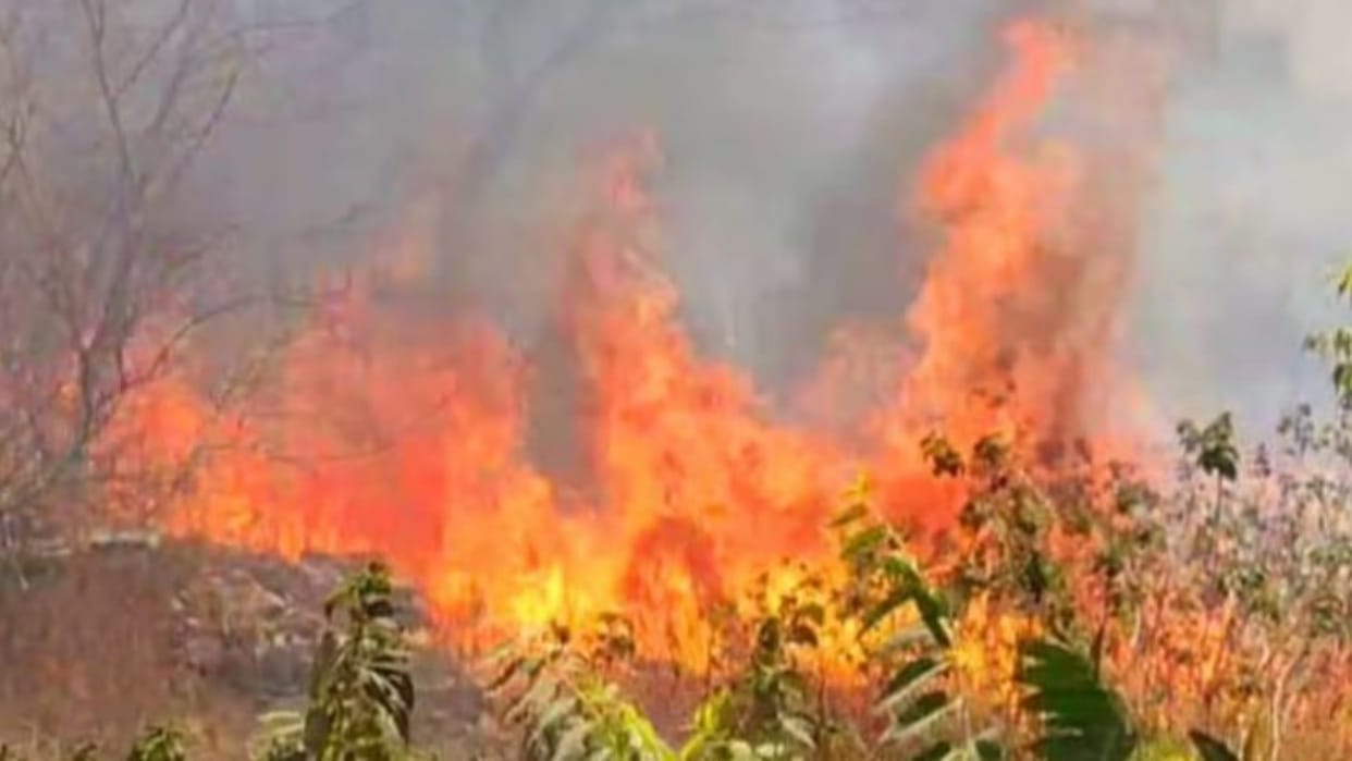 Jaipur : Forest fire near Amer, fire brigade vehicles rushed to the spot, raising concern over wildlife
