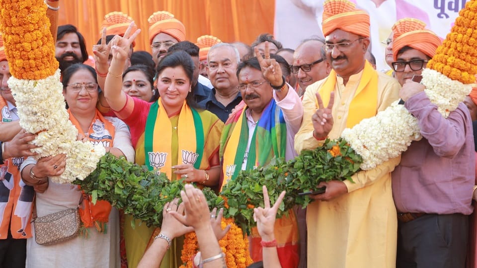 LS Elections Delhi: All parties put their strength into election campaign