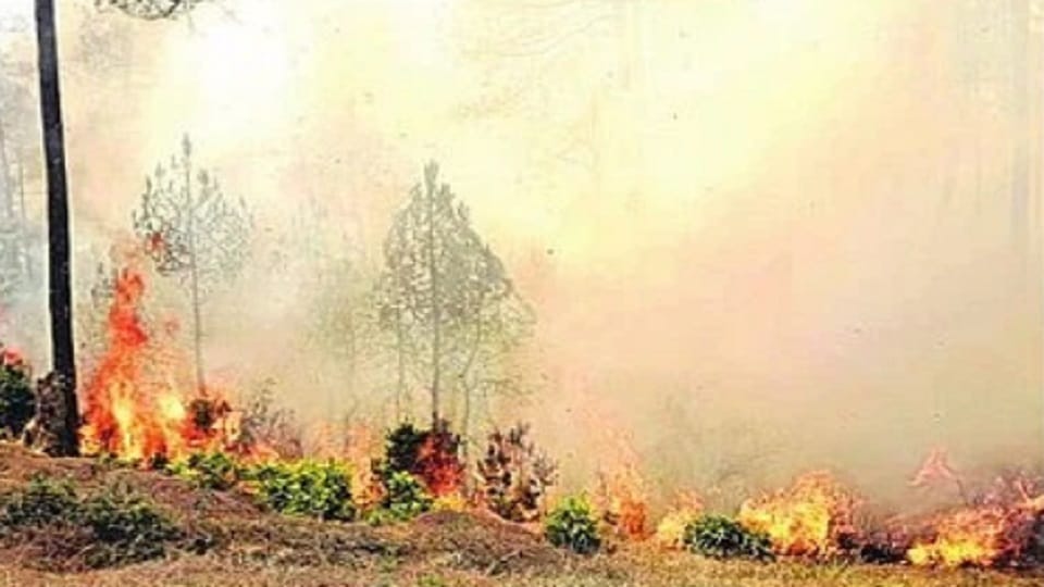 Forest fire reached the military hospital in Ranikhet