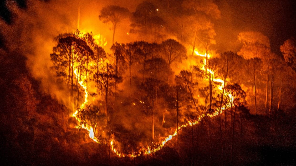Forest Fire: Situation like Uttarakhand is being created in Himachal too