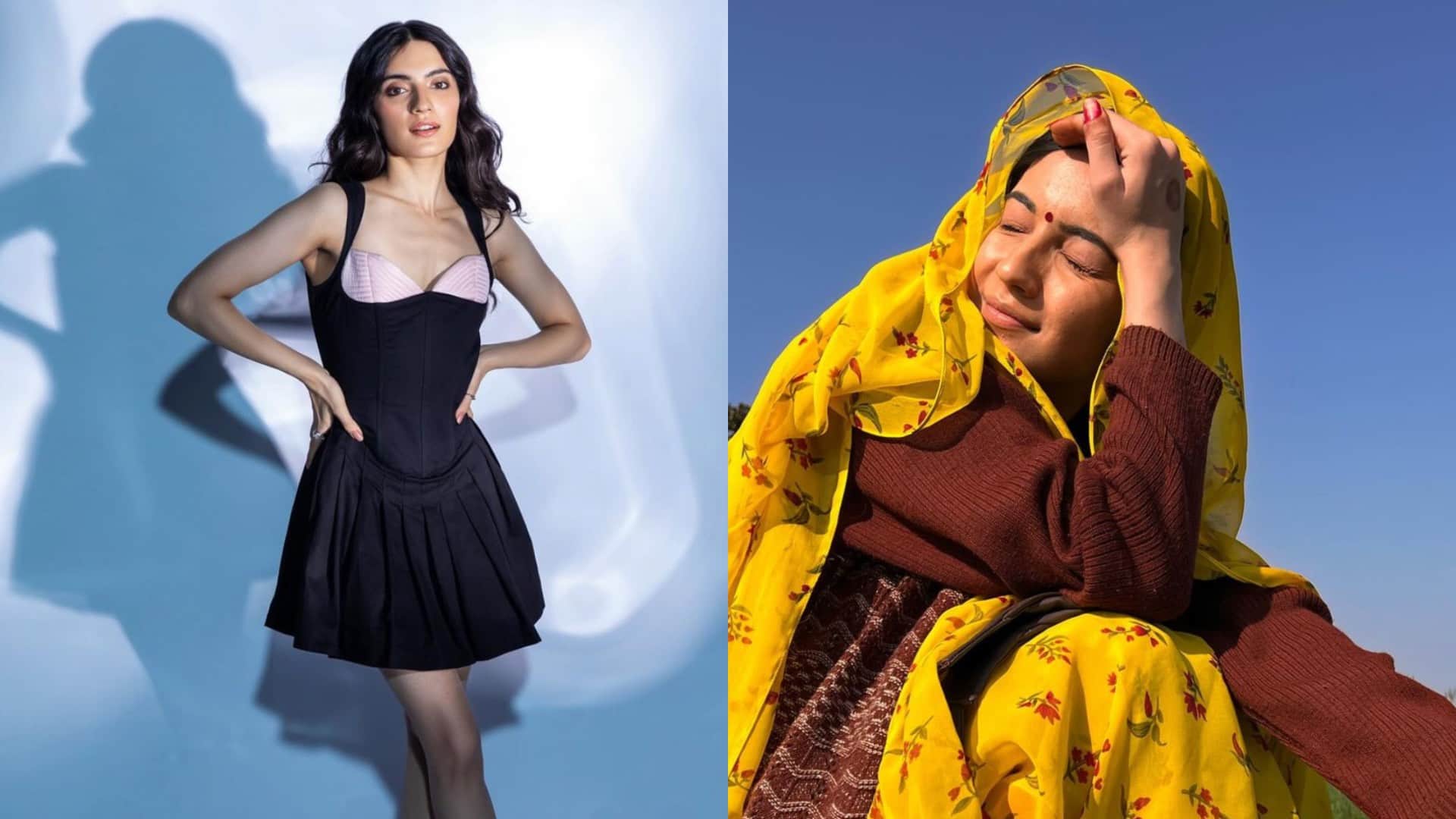 these stars got social media popularity over the night medha shankar tripti dimiri pratibha ranta taha shah