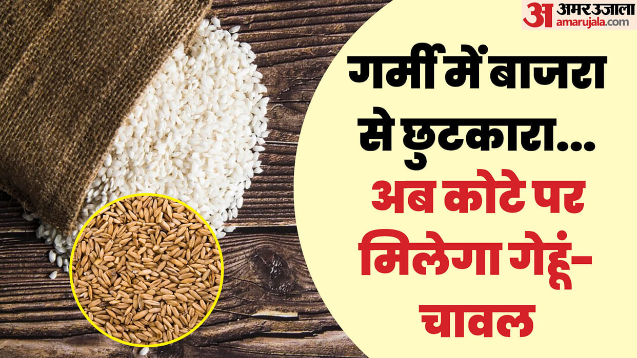 Free Ration Scheme Wheat and rice will be distributed on Government Ration Shops