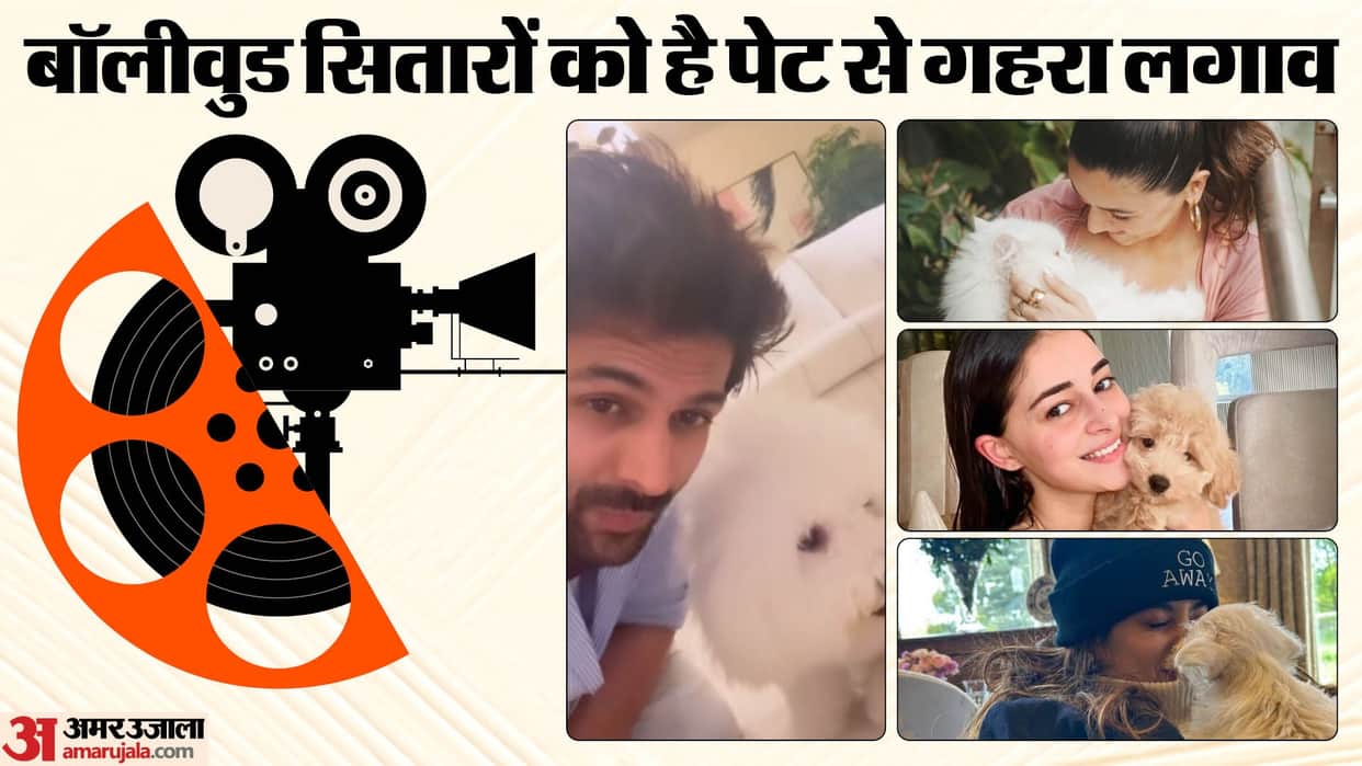 Celebrities Who Love Pets Ananya Pandey Alia Bhatt Priyanka Chopra Kartik Aaryan Janhvi Kapoor
