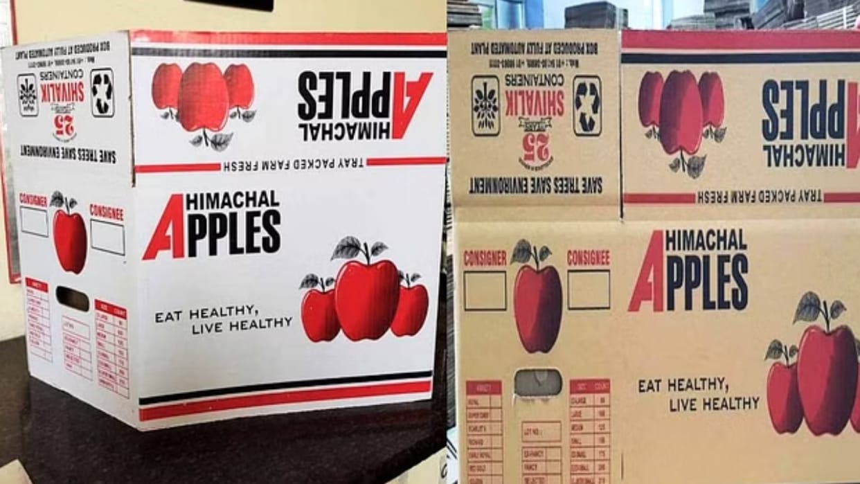 Himachal Apple prices broke records sold at an average of Rs 1000 per crate