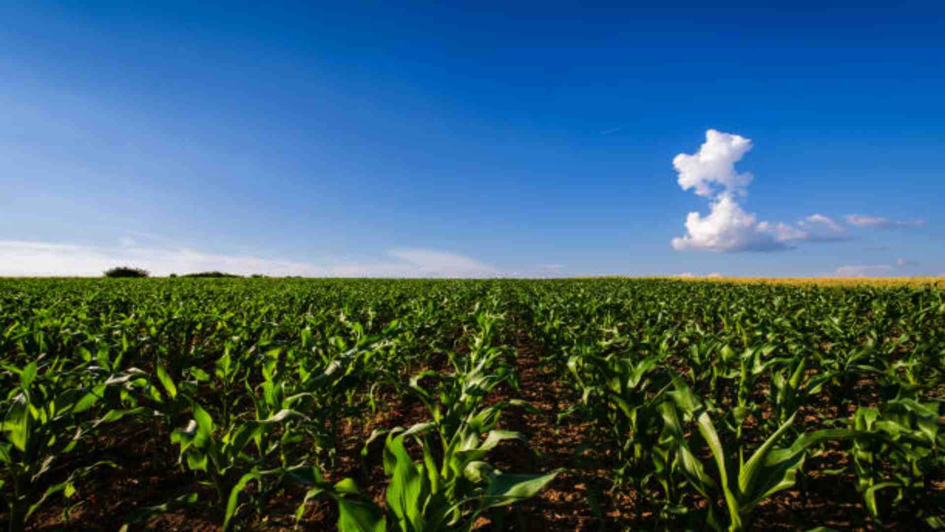 कर्ज वसूली में किसानों को राहत।