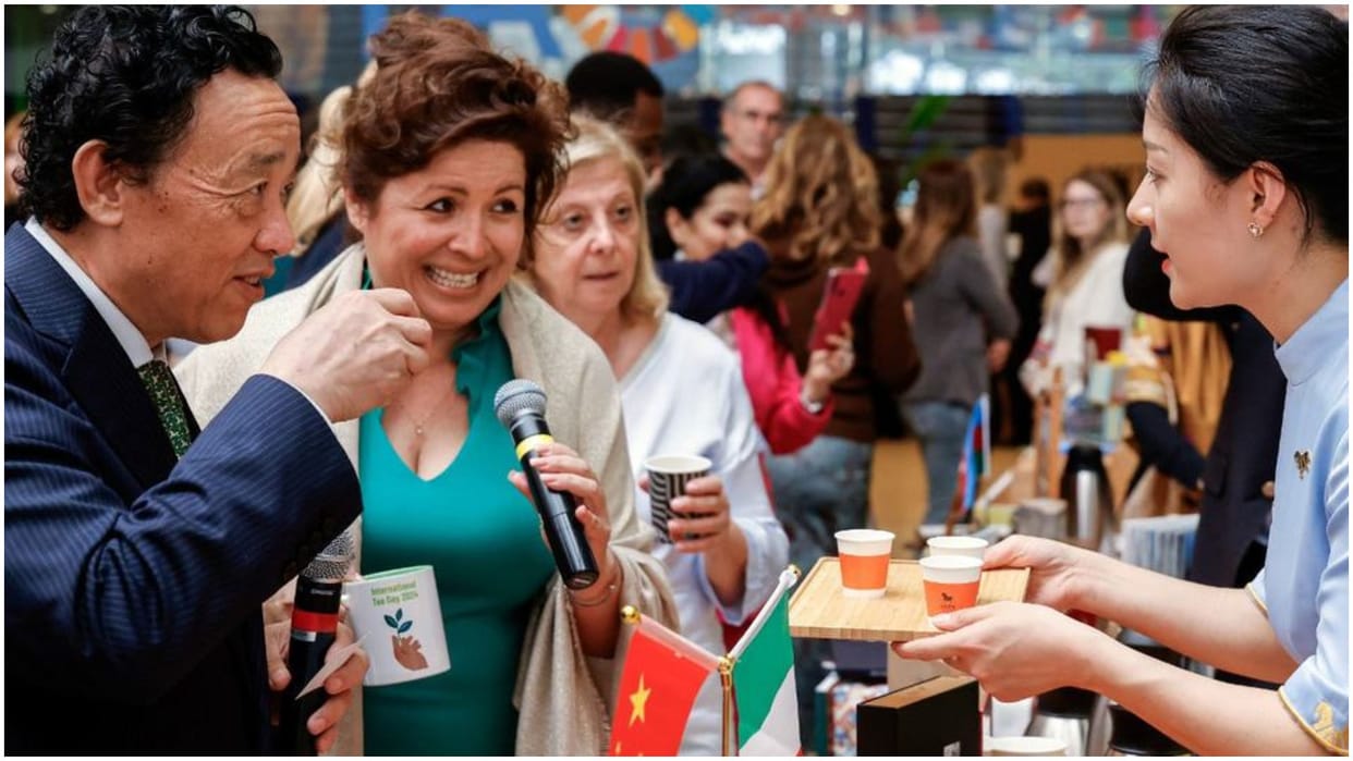 Tea and its benefits where it started climate and health UN Article news and updates