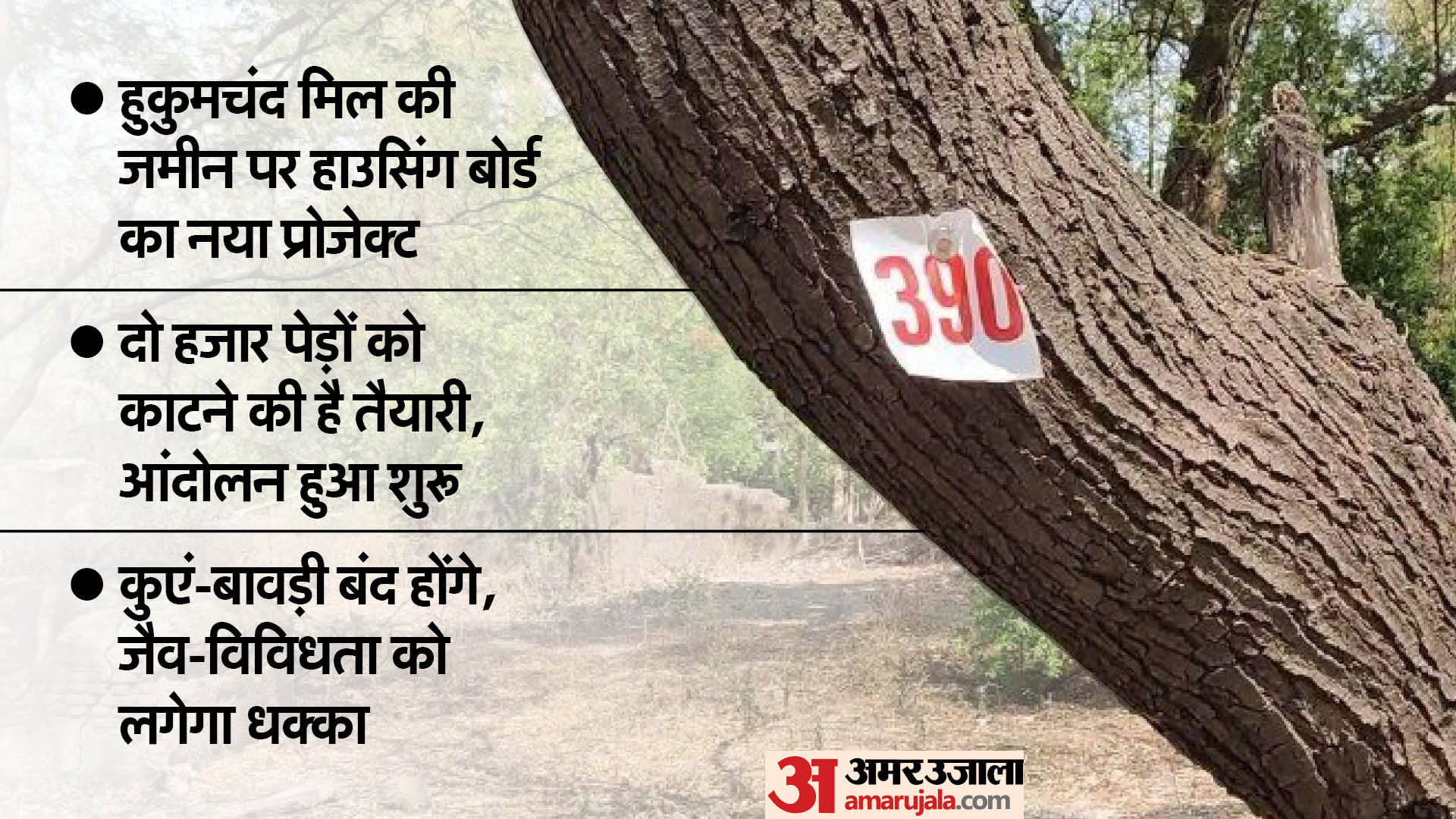 high temperature weather hukumchand mill save tree protest indore news