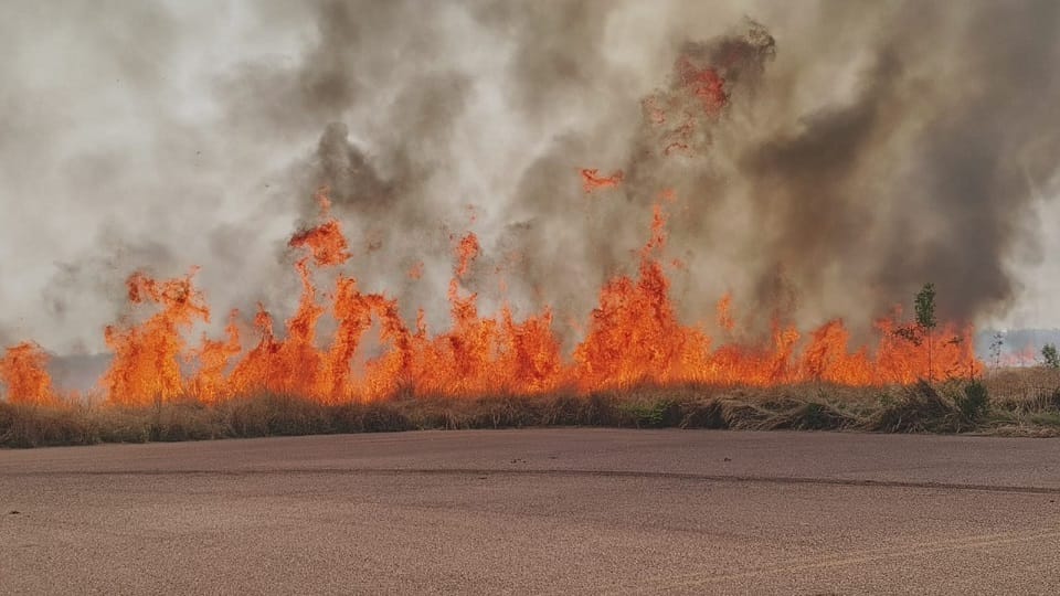 massive fire broke out in the bushes inside Nandini Aerodrome 50 acres area under fire in Durg