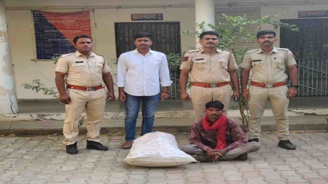 Sirohi News: One arrested for illegally transporting hemp plants