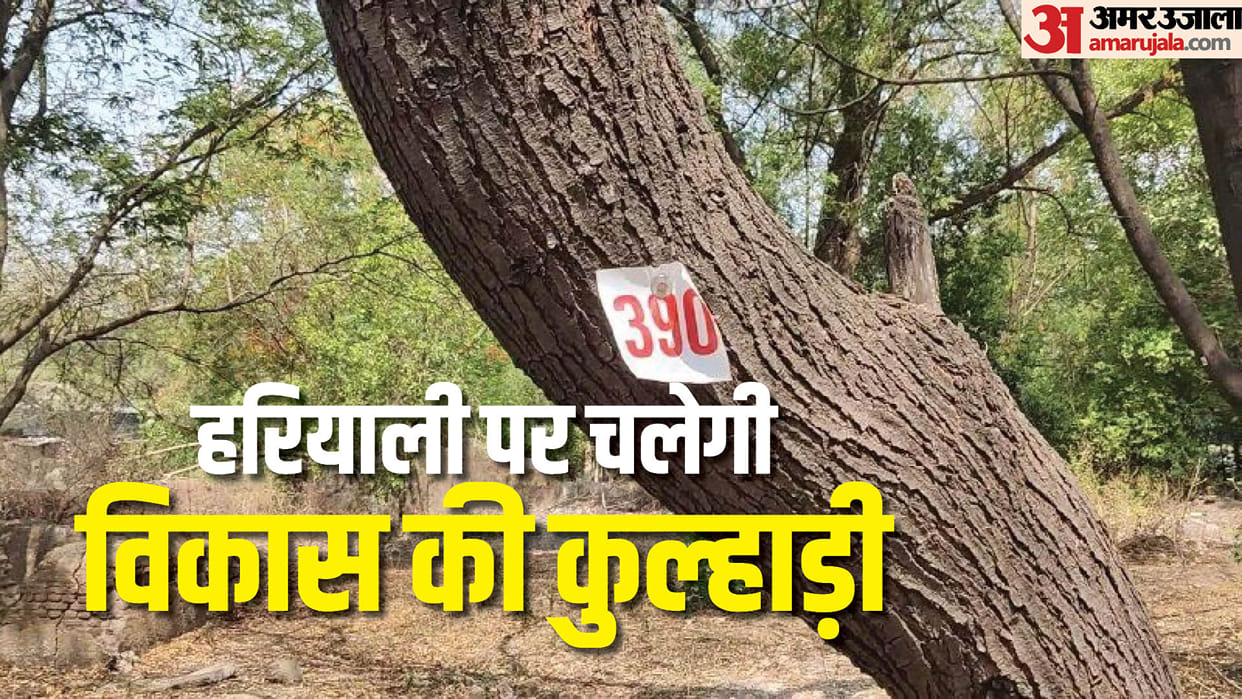 high temperature weather hukumchand mill save tree protest indore news