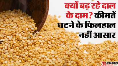 common man are affected inflation why are pulses becoming expensive Prices will not reduce next five months