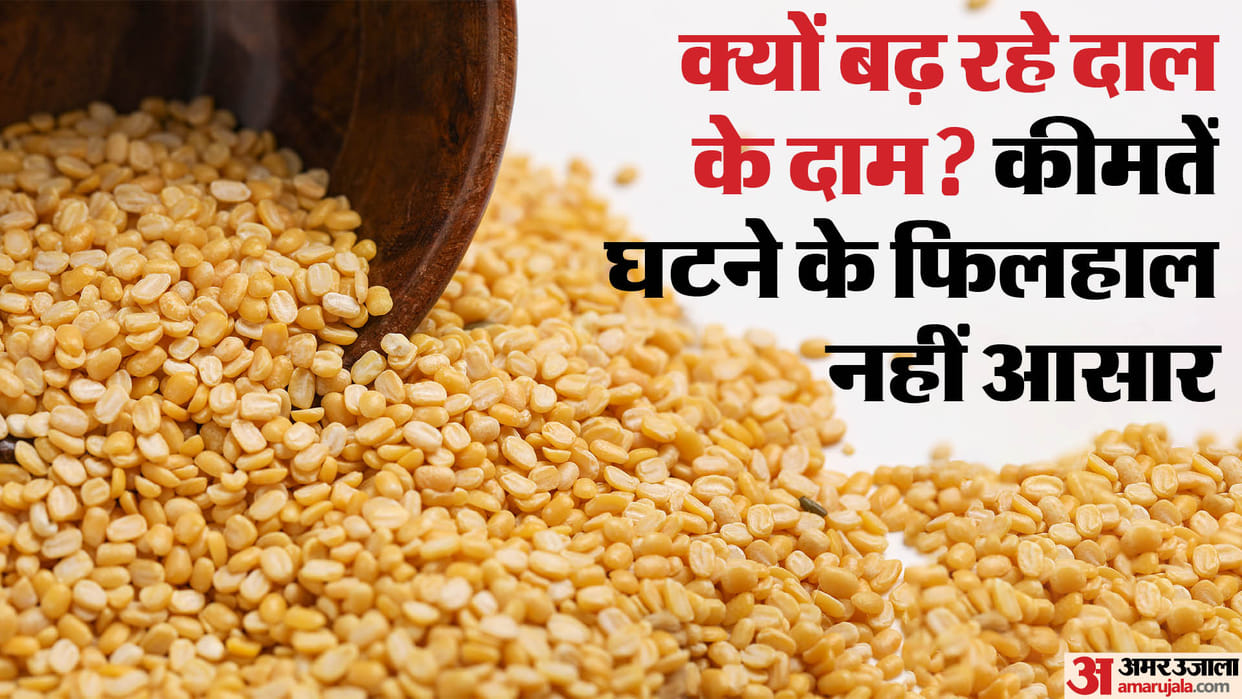 common man are affected inflation why are pulses becoming expensive Prices will not reduce next five months
