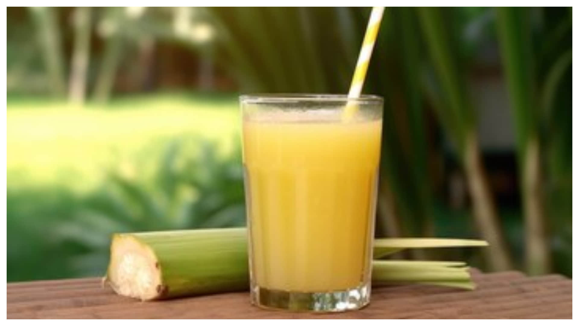 नारियल का पानी या गन्ने का जूस, गर्मी के मौसम में क्या पिएं?