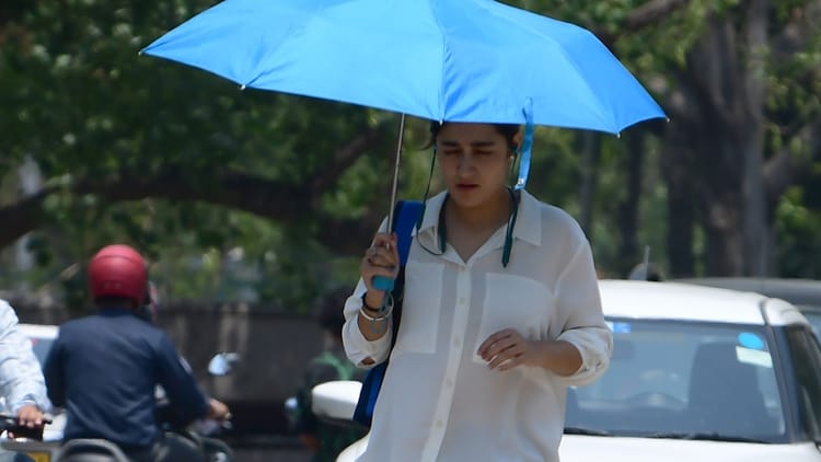 Punjab Mausam 48.5 Degree Temperature Recorded – Amar Ujala Hindi News Live