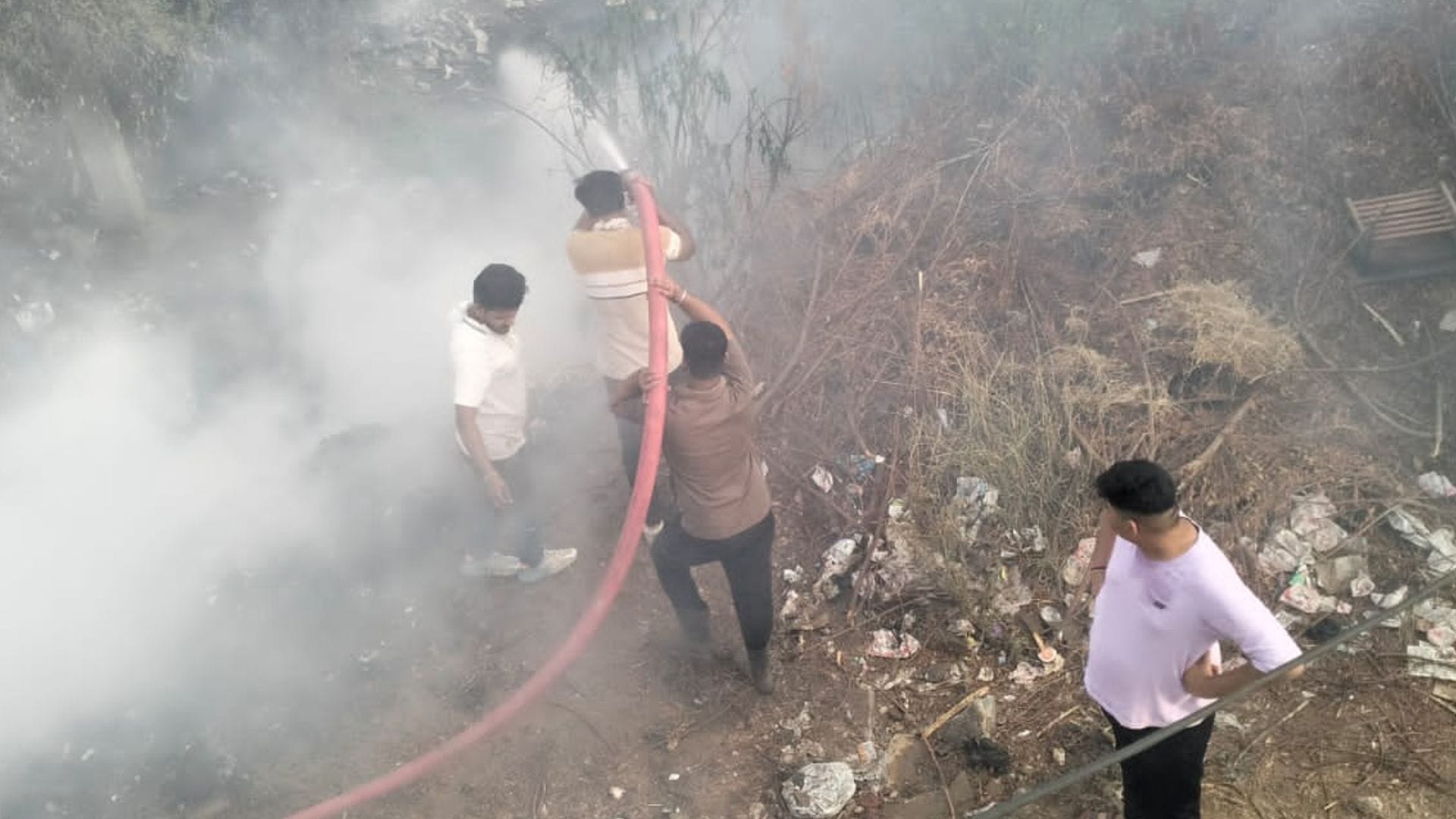 झाड़ियों में लगी आग