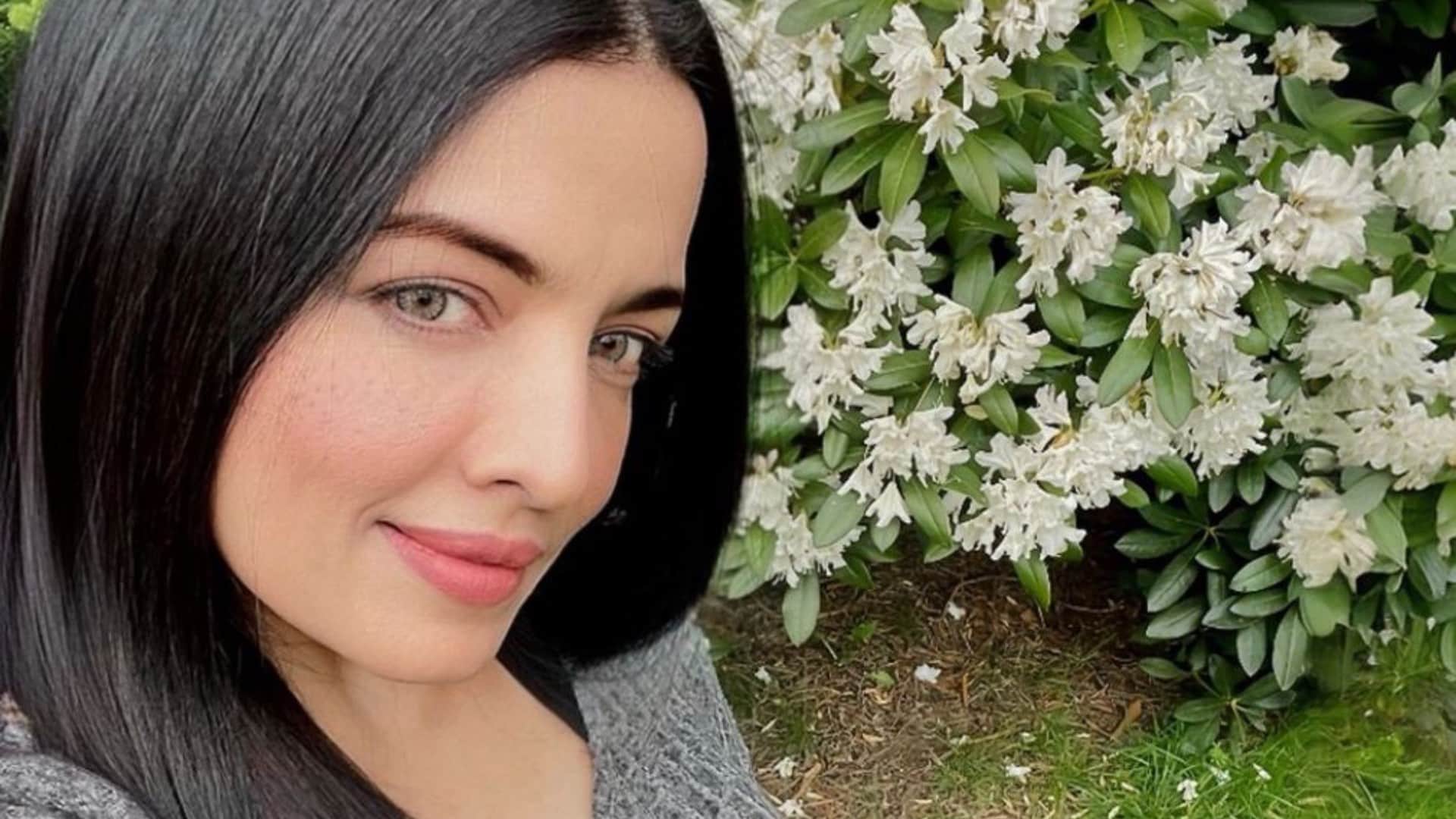 Celina Jaitly To Make Her Bollywood Comeback After 14 Years Actress Drops Hint