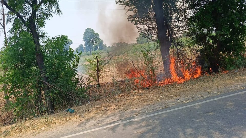 Fire broke out in bushes standing on the roadside