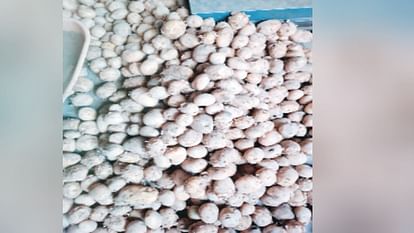 pahari potatoes arrive in Dhali market, sold at 20 to 25 rupees per kg