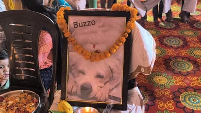 thirteenth day was performed with Havan and feast was fed to relatives after death of dog in Baraut