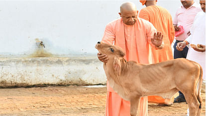 CM Yogi in Gorakhnath temple, What kind of love and affection did the children have, and even served the cow.
