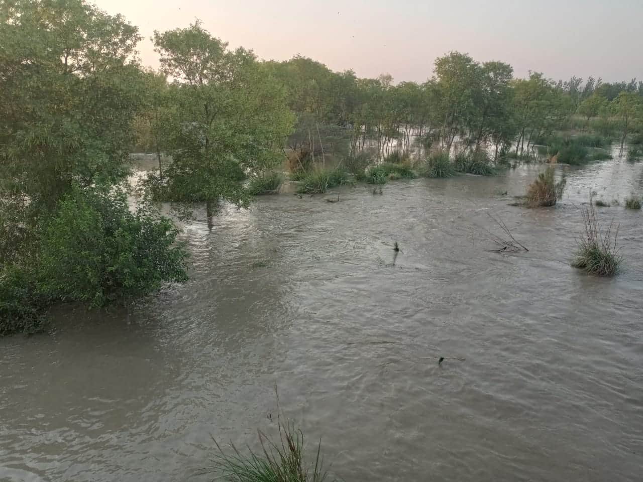 two youths drowned while bathing in Ganganahar and Faizan's body was found on the third day