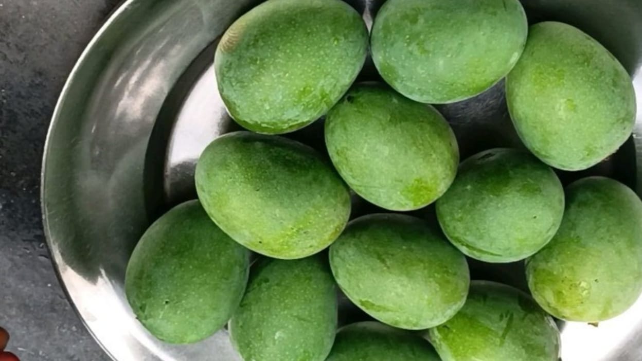 Amchoor Powder Recipe:घर पर आसान विधि से बनाएं अमचूर पाउडर, स्टोर करने का सही तरीका भी जान लें - Amchoor Powder Recipe In Hindi Ghar Par Amchoor Powder Kaise Banaye - Amar