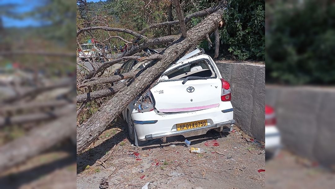 Shimla News Car parked on the roadside due to tree collapse in Tutikandi jammed