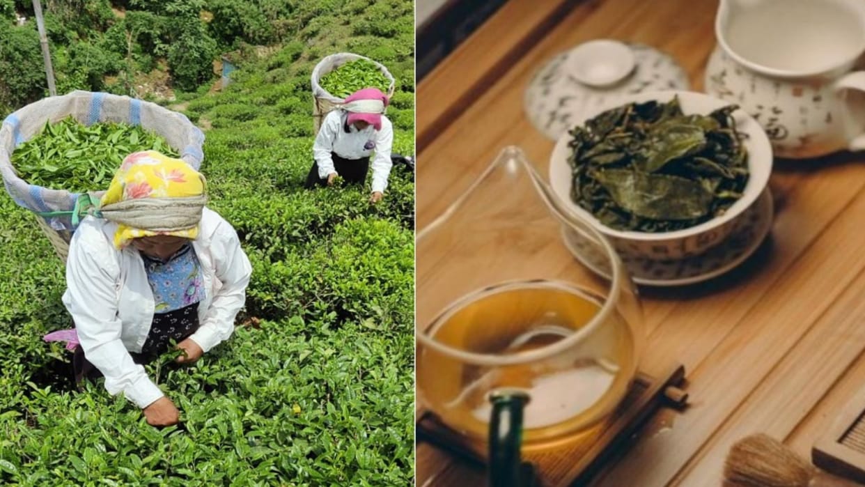 Cloud of crisis on Indian tea industry, ITA expressed deep concern over decline in production and cheap import