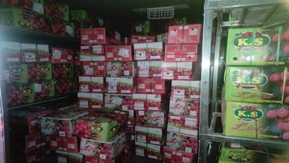 Bihar News: East Central Railway is delivering Bihar's famous litchi across country including Delhi-Mumbai
