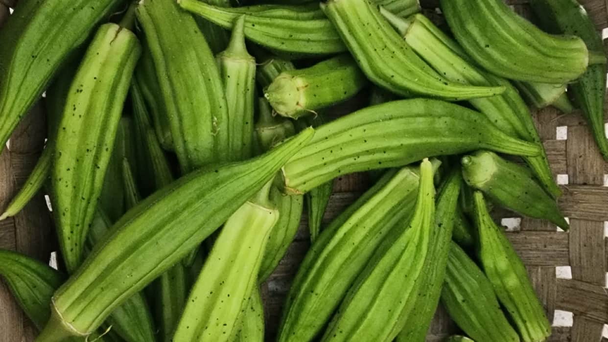 okra hair conditioner and hair gel recipe bhindi ka gel kaise banate hain