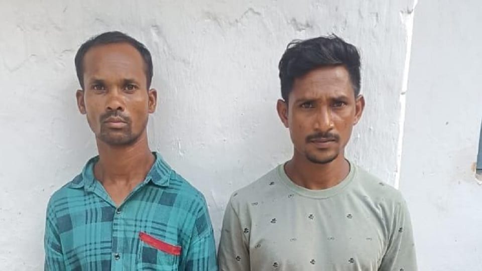 पुलिस ने दो नक्सलियों को किया गिरफ्तार