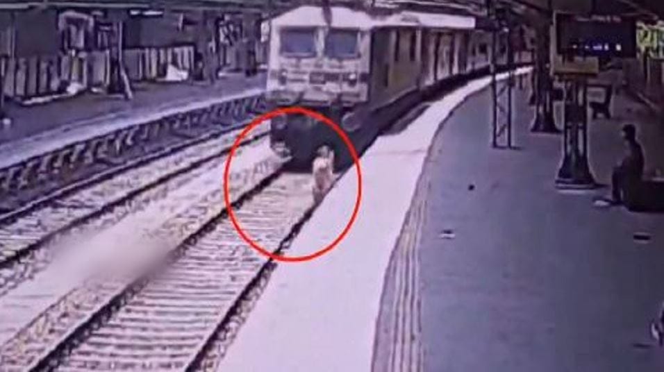 Married woman living in living room jumped in front of the train people shivered after seeing horrifying scene