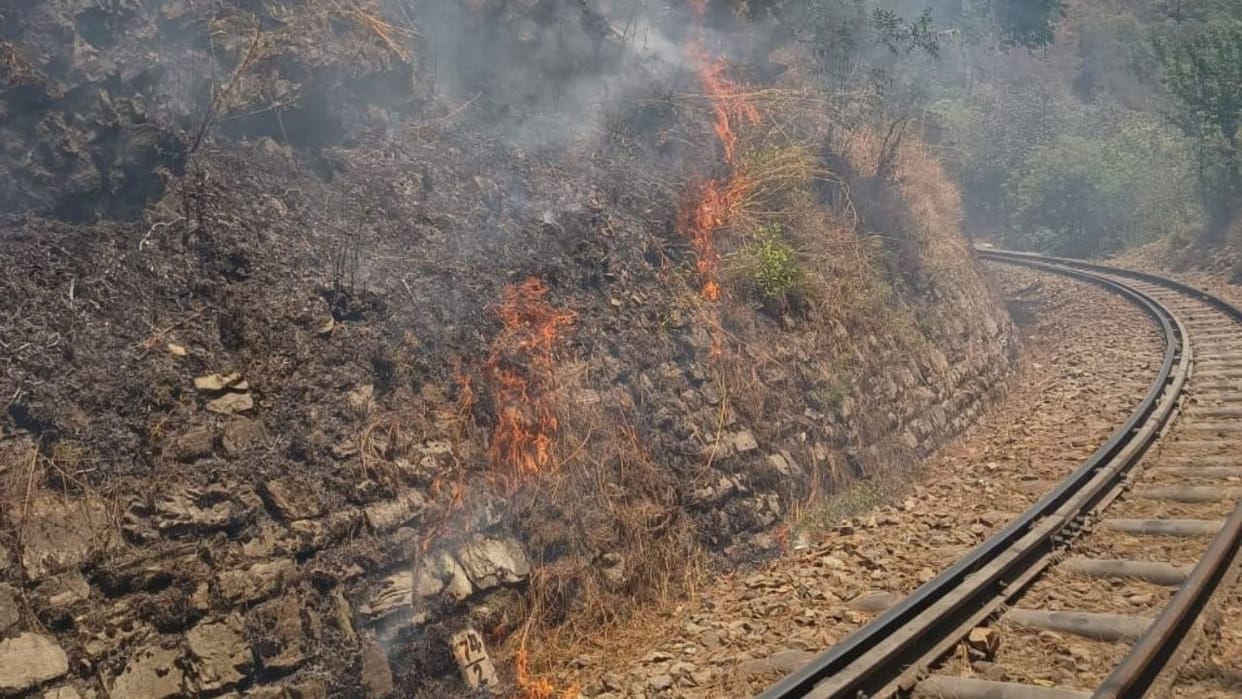 Kalka-Shimla Railway Track Fire in the forest train delayed by one and a half hour