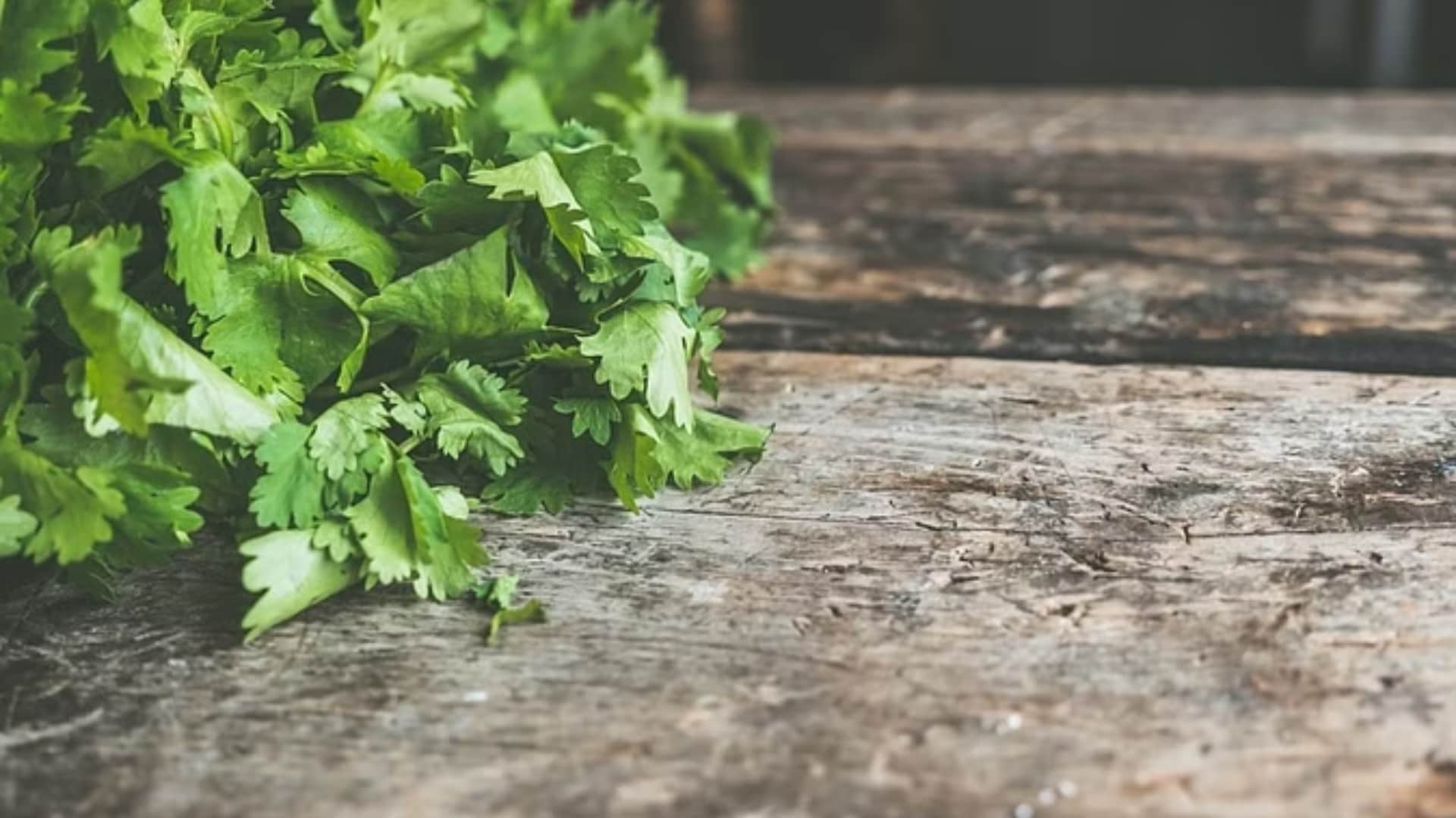 Summer Skin Care these 5 leaves give relief from pimples and tanning in summer